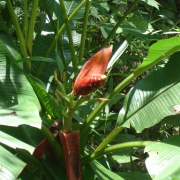 nature discovery center (85)