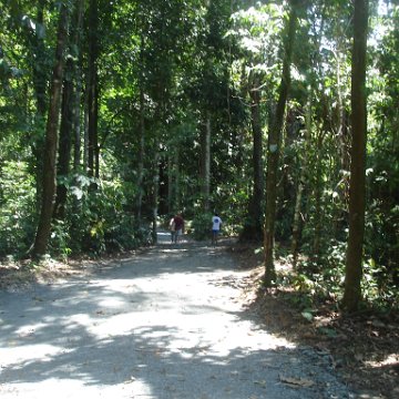 nature discovery center (89)