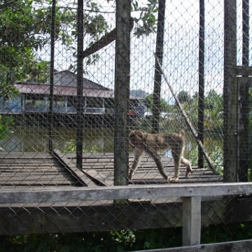 trip from Holiday Inn to Kuching (10)