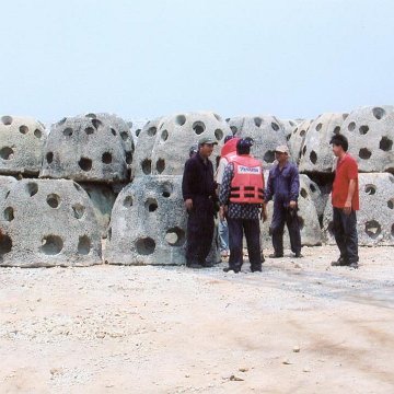 Manukan Island Reef Ball Project (Mid Reef Area)