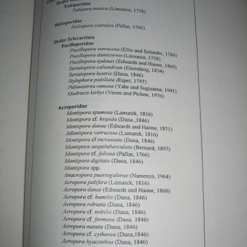 managementplan