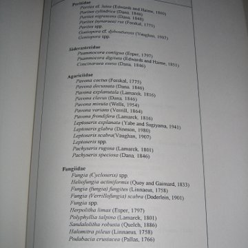 sabahborneo_044