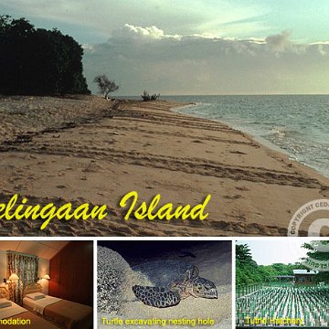 selingaan_tour