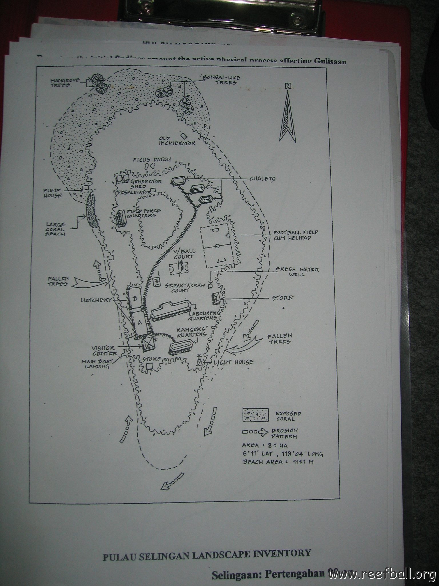 sabahborneo_004