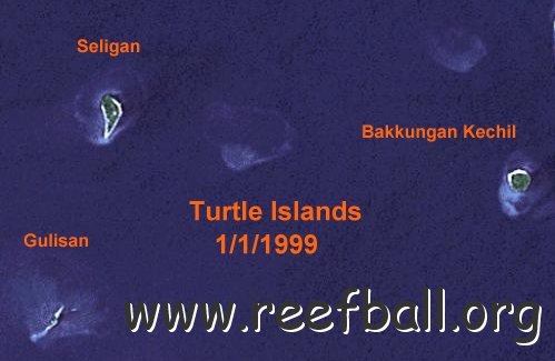 satelightturtleislands1_1_1999