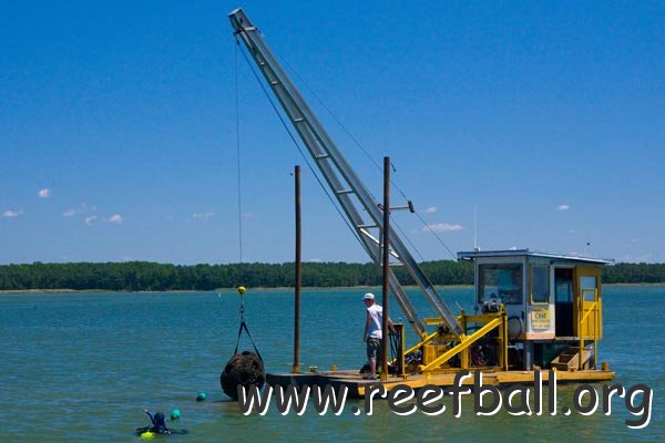 reefballbarge9