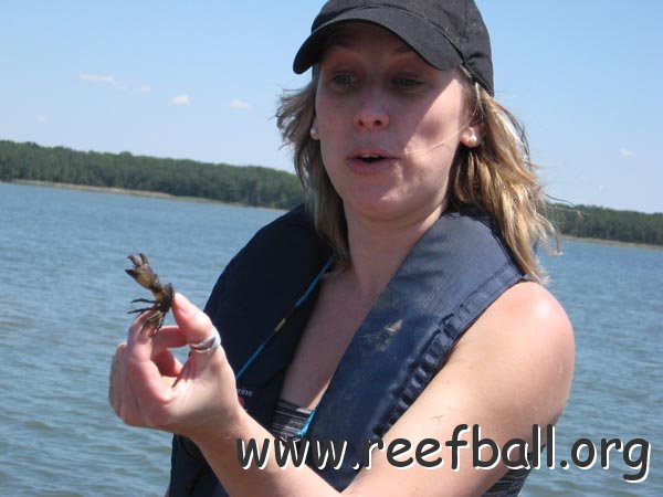 reefball_lori