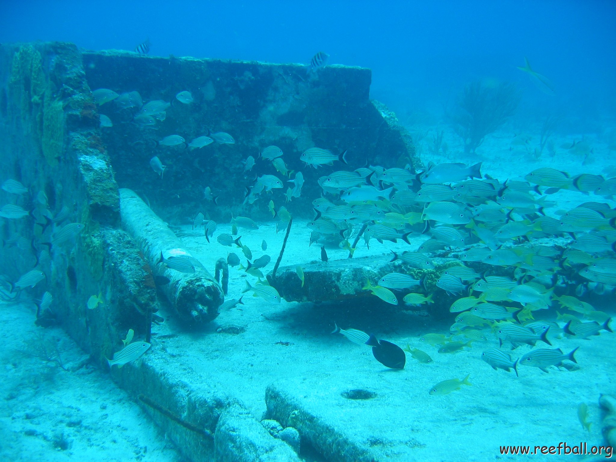 2005Aug5 Cancun 095