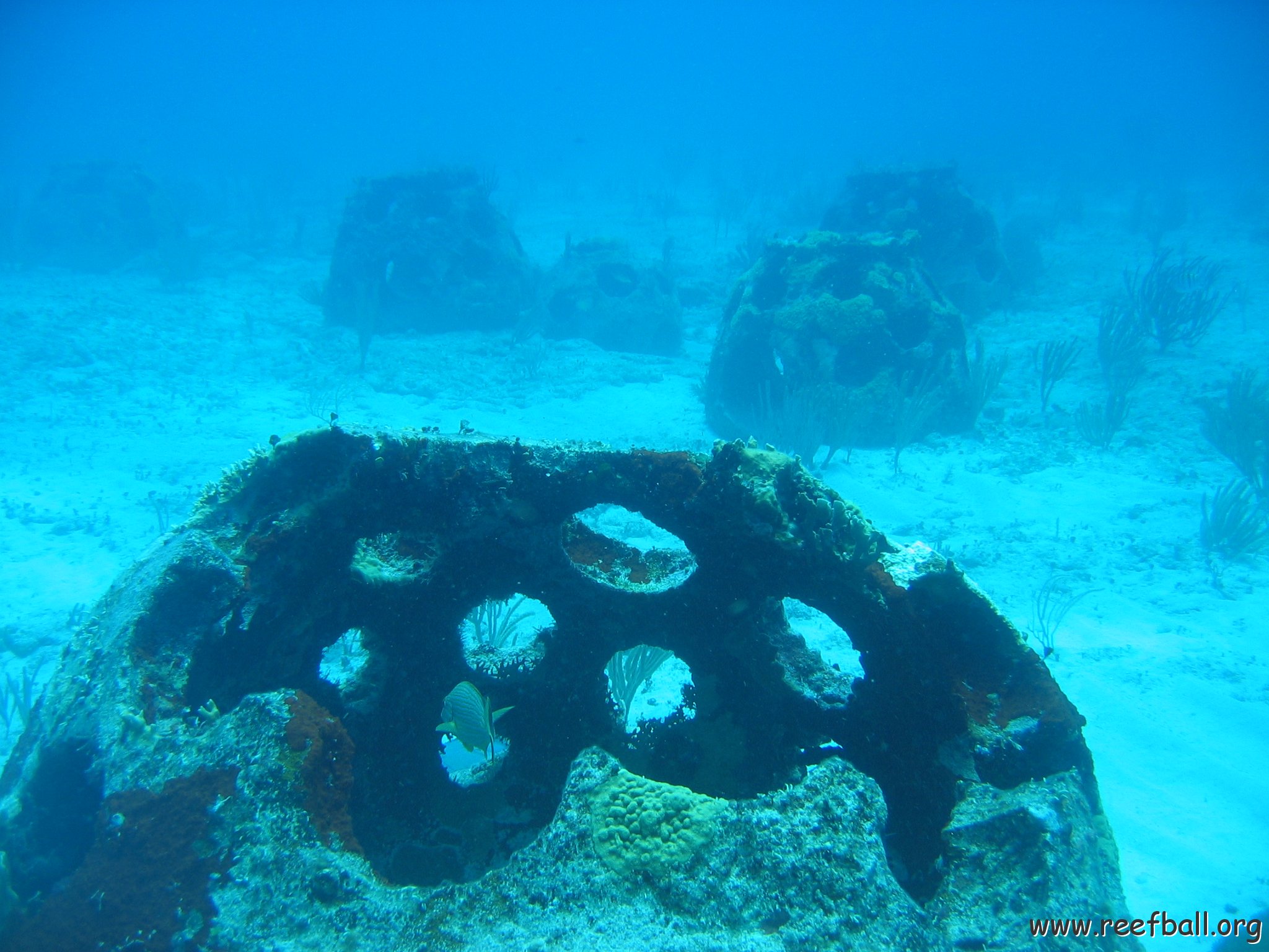 2005Aug5 Cancun 142