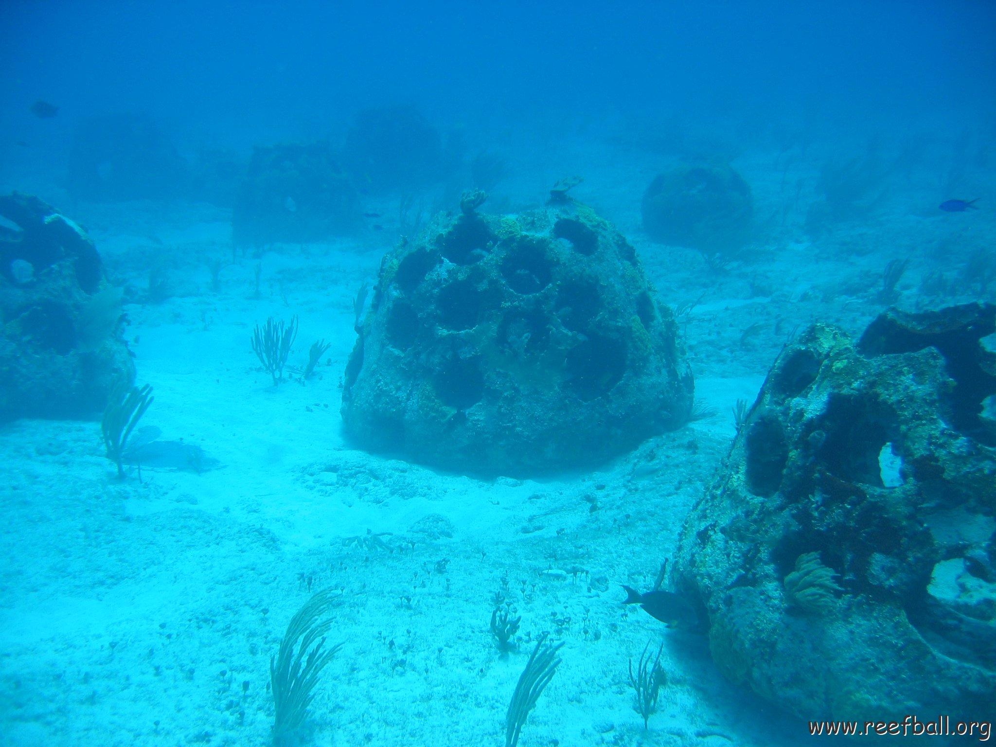 2005Aug5 Cancun 145