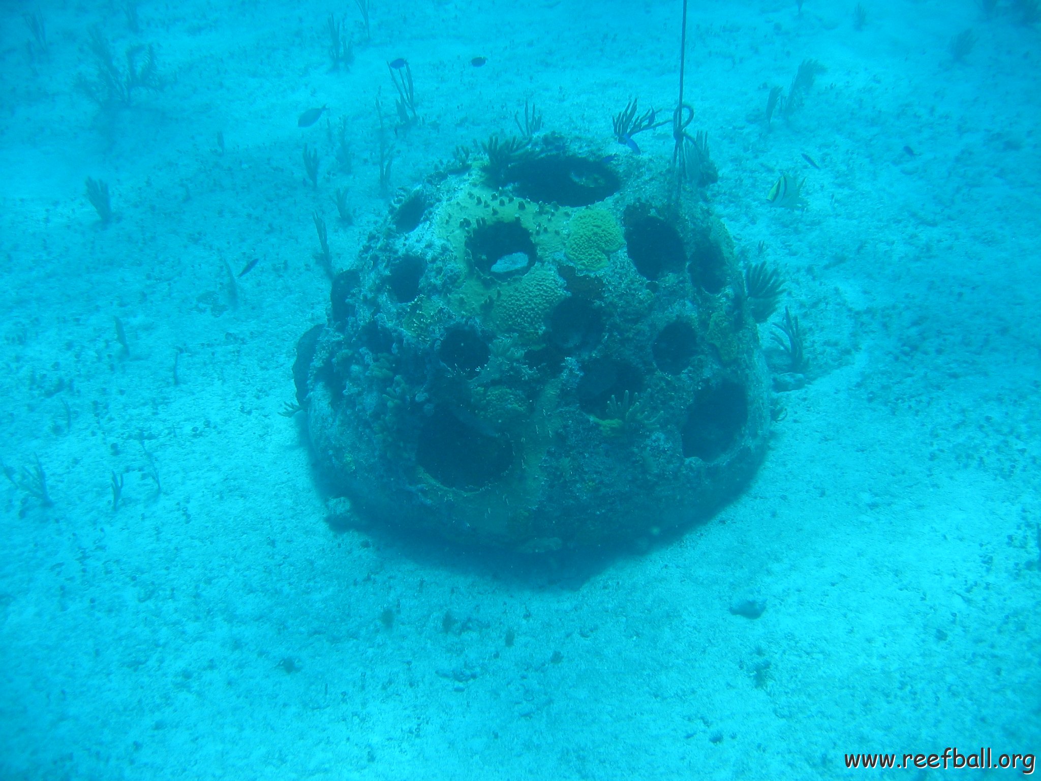 2005Aug5 Cancun 162