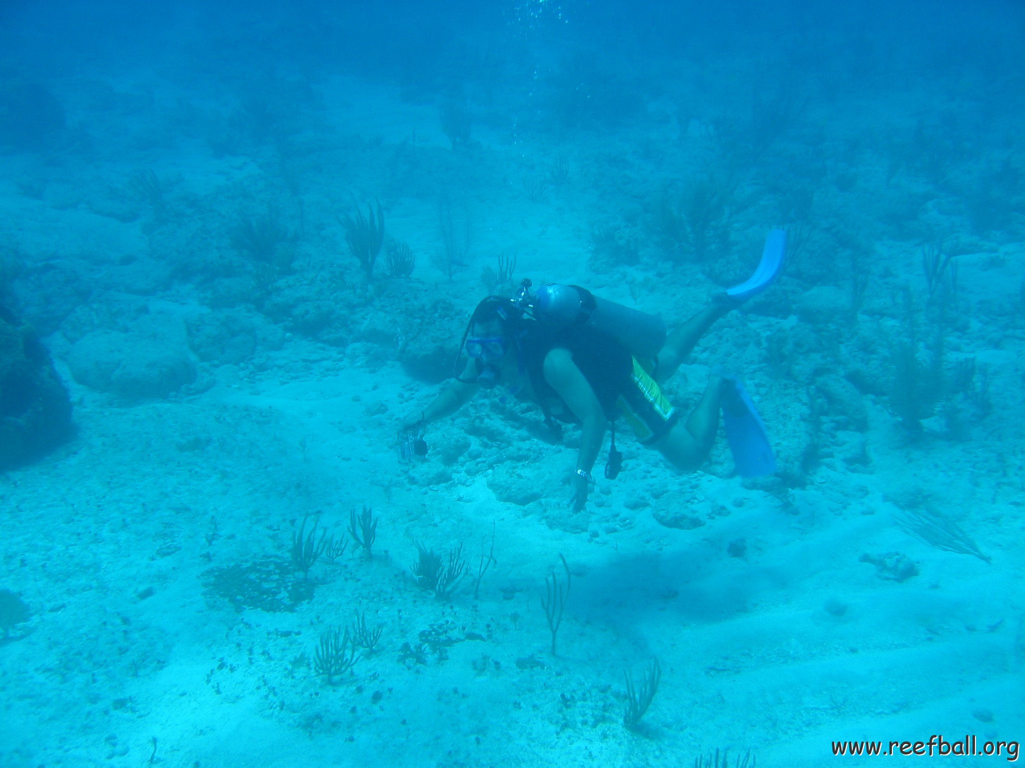 2005Aug5 Cancun 163