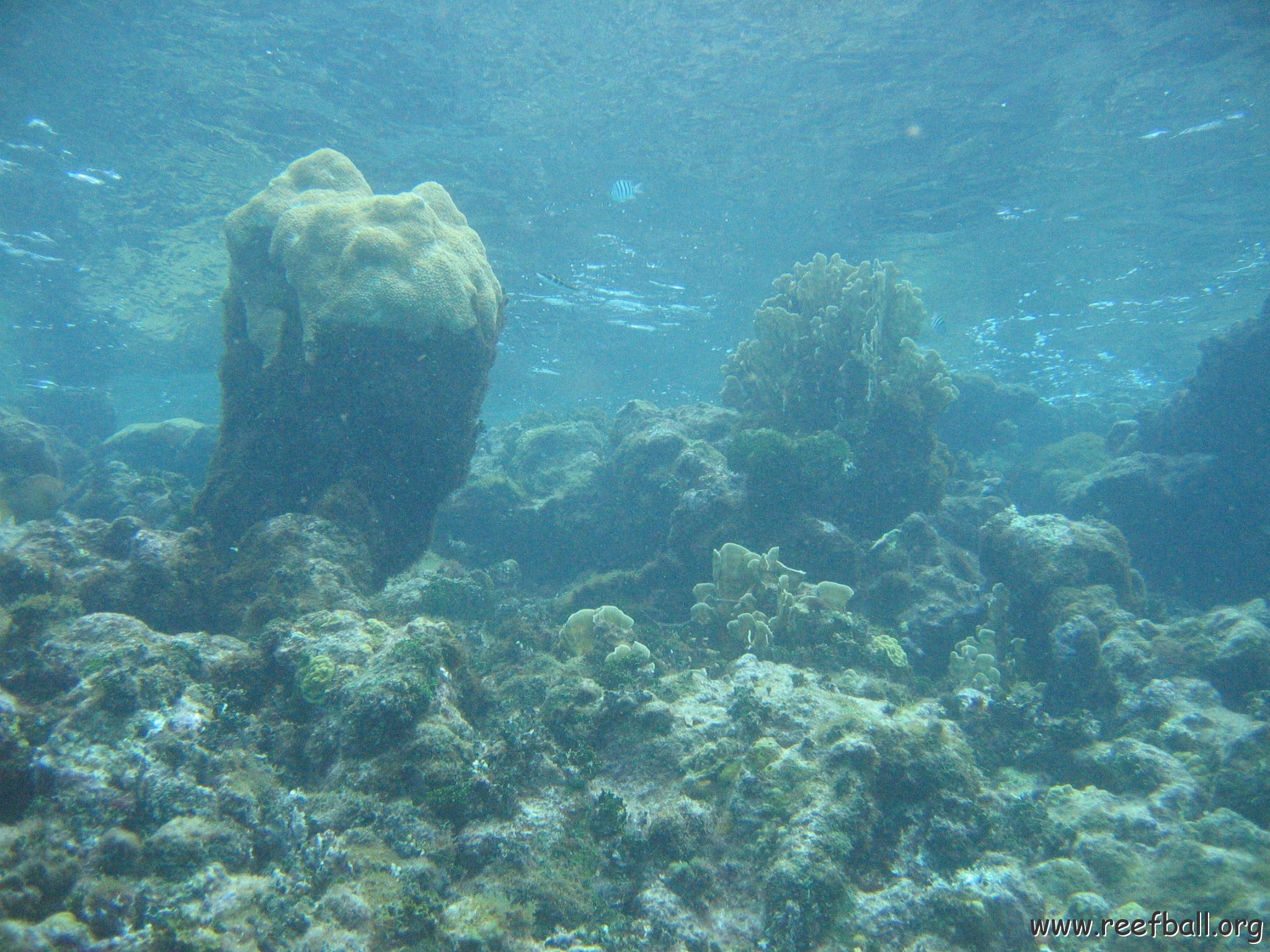 2005Aug5 Cancun 198