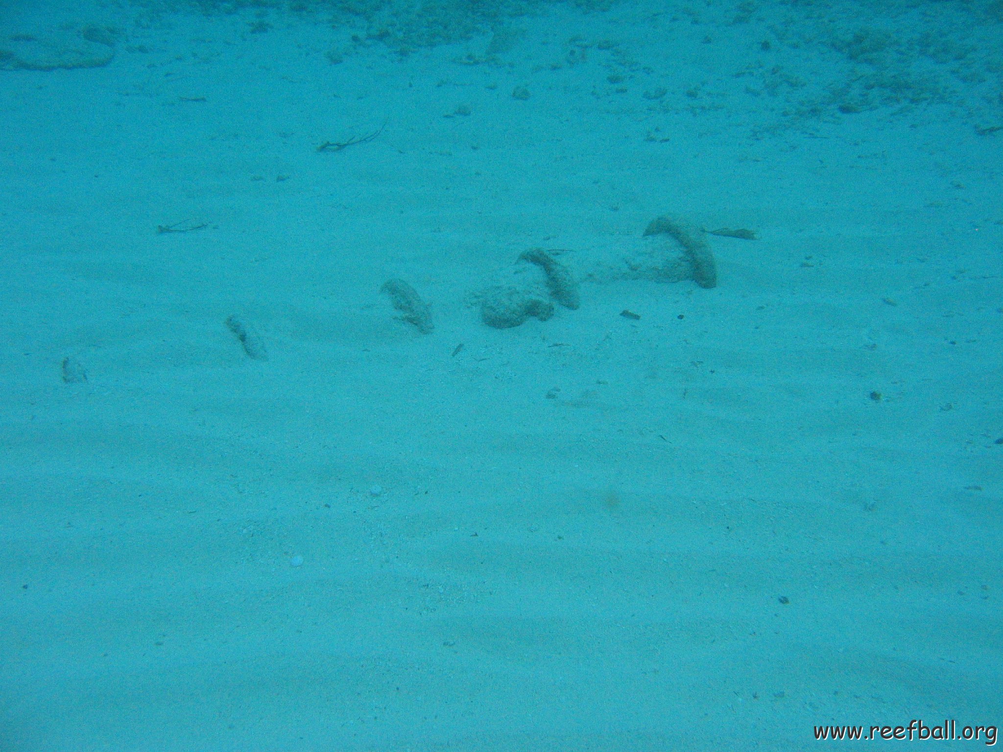 2005Aug5 Cancun 211