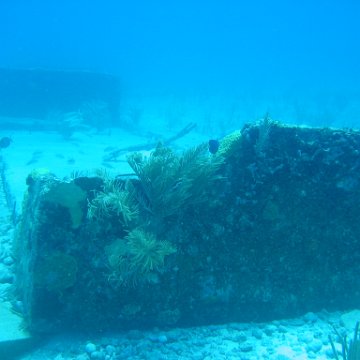 2005Aug5 Cancun 075