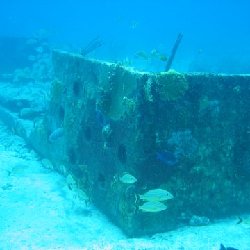 2005Aug5 Cancun 079