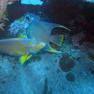 img_4474