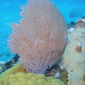 img_4534 img_4534