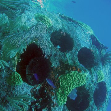 img_4536 img_4536