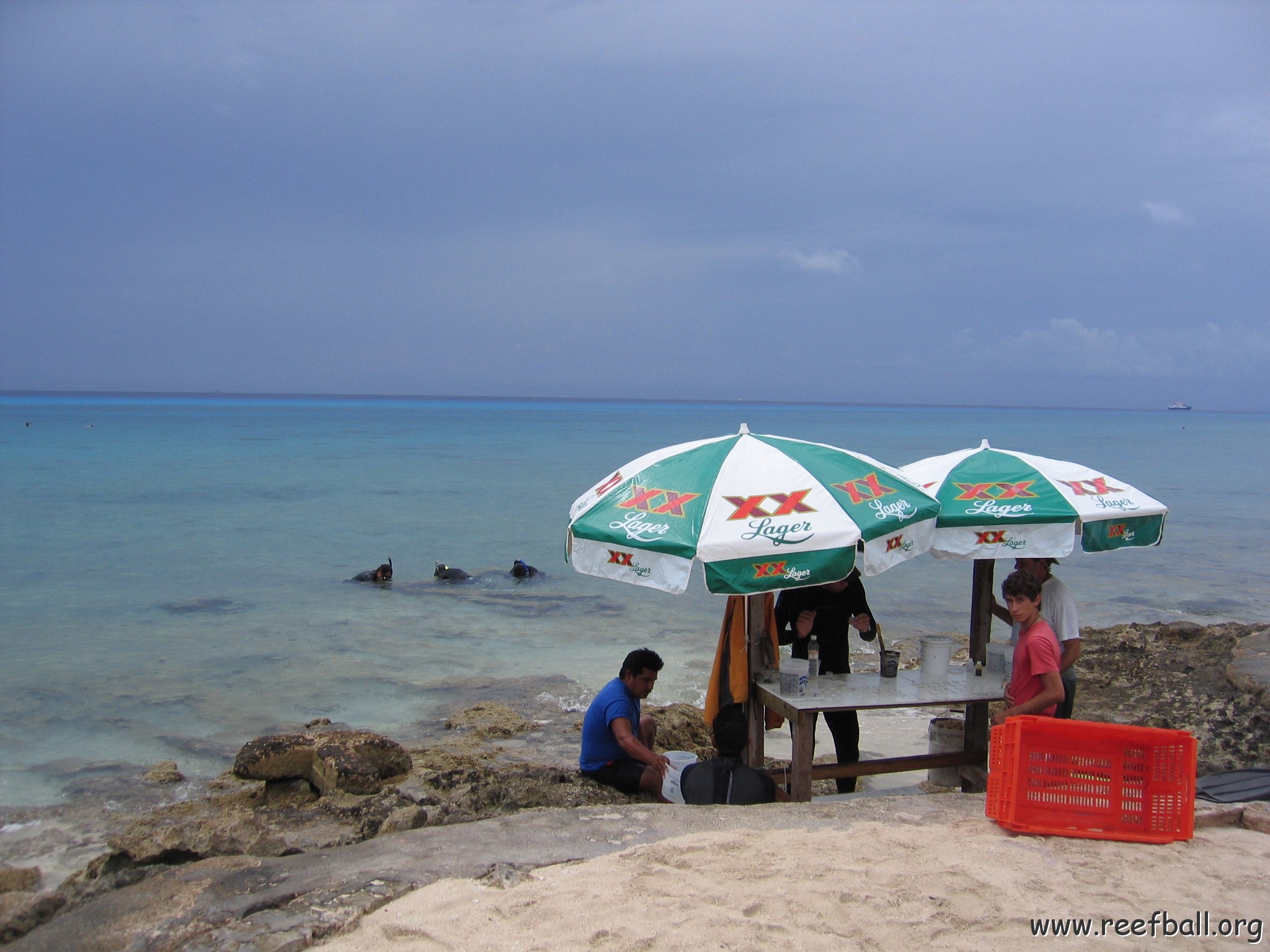 cozumelcoralpropproject2007javertake 056