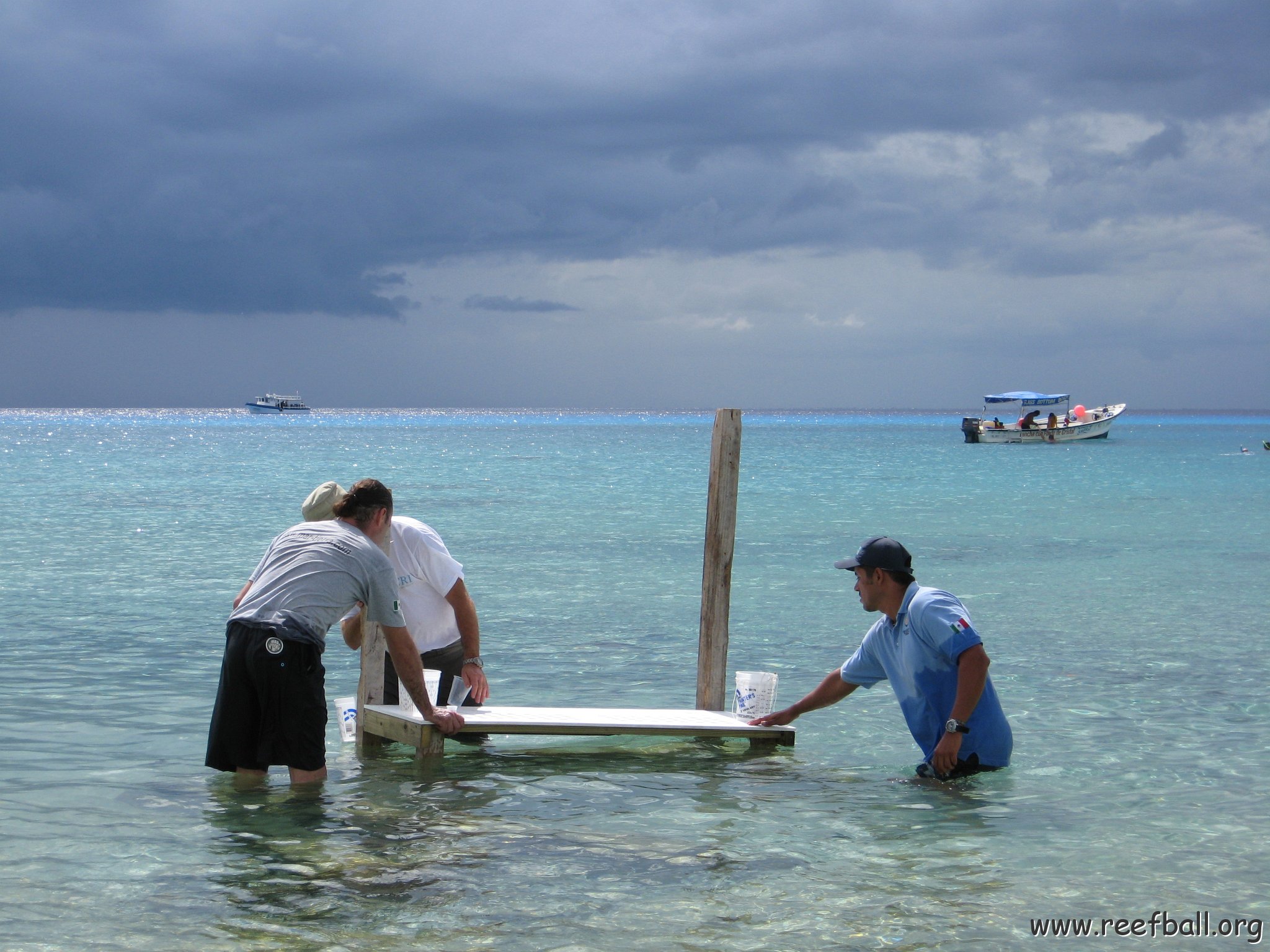 cozumelcoralpropproject2007javertake 182