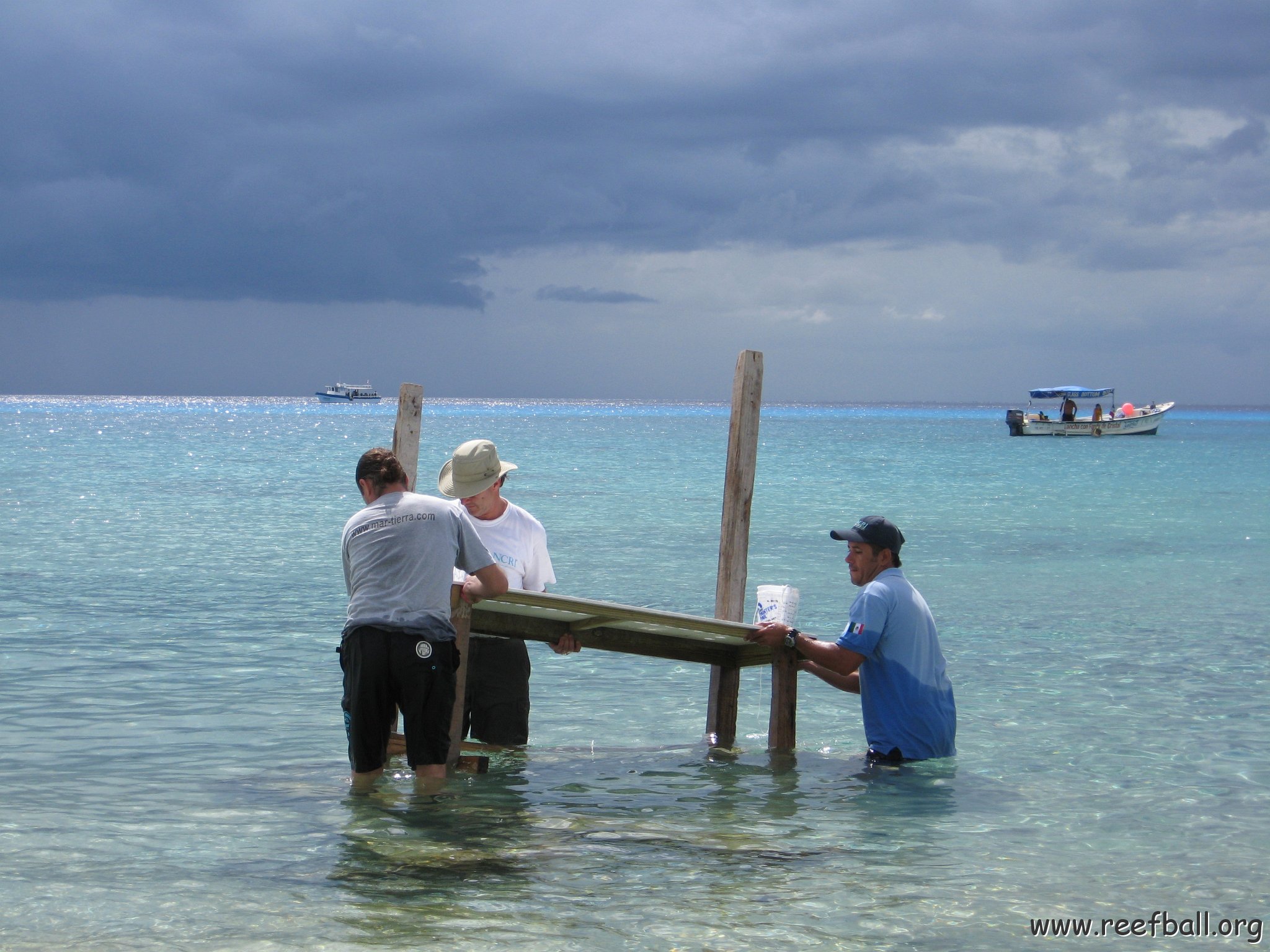 cozumelcoralpropproject2007javertake 183