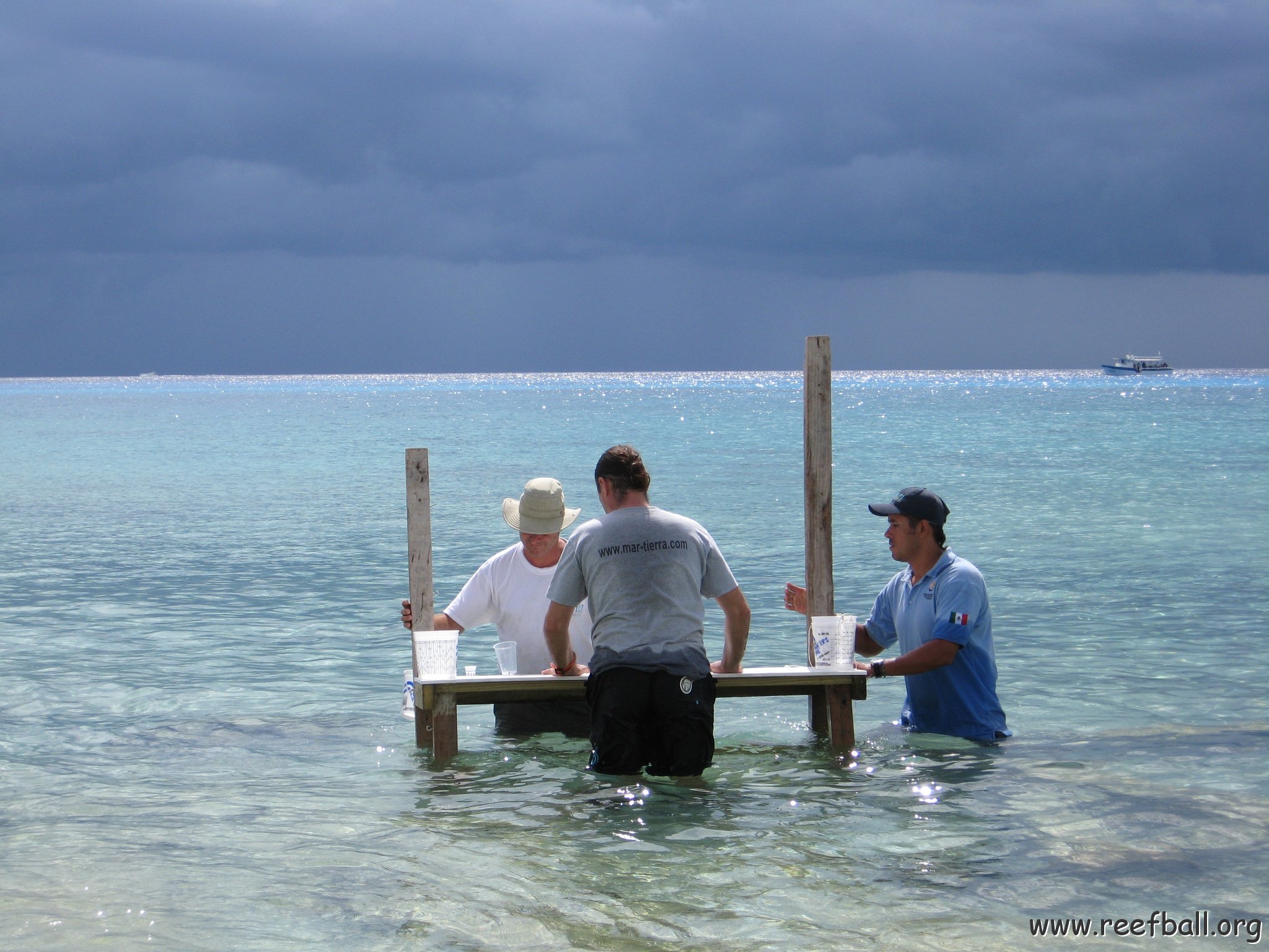 cozumelcoralpropproject2007javertake 184