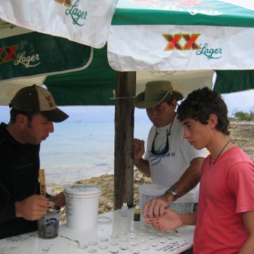 cozumelcoralpropproject2007javertake 054