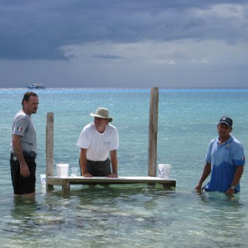 cozumelcoralpropproject2007javertake 180