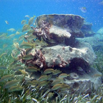 SacBajoIslaMujeres