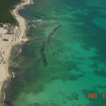 Mayan Palace Submerged Reef Ball Breakwater Project