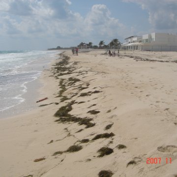 Playa Secreto 033