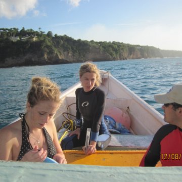 plantingcoral