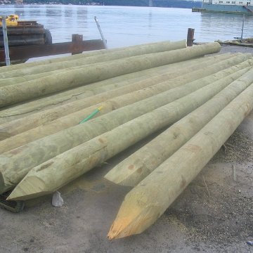 Pilings for support post