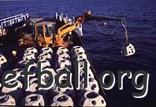 reefballs