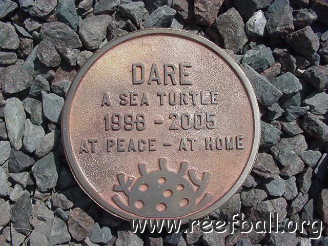 reefballplaque