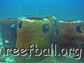 reef_pots_col_060310