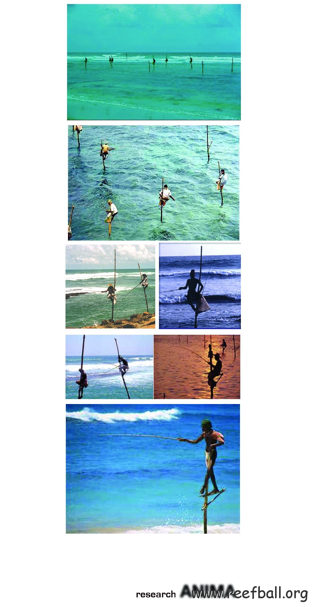 stilt_fishermen