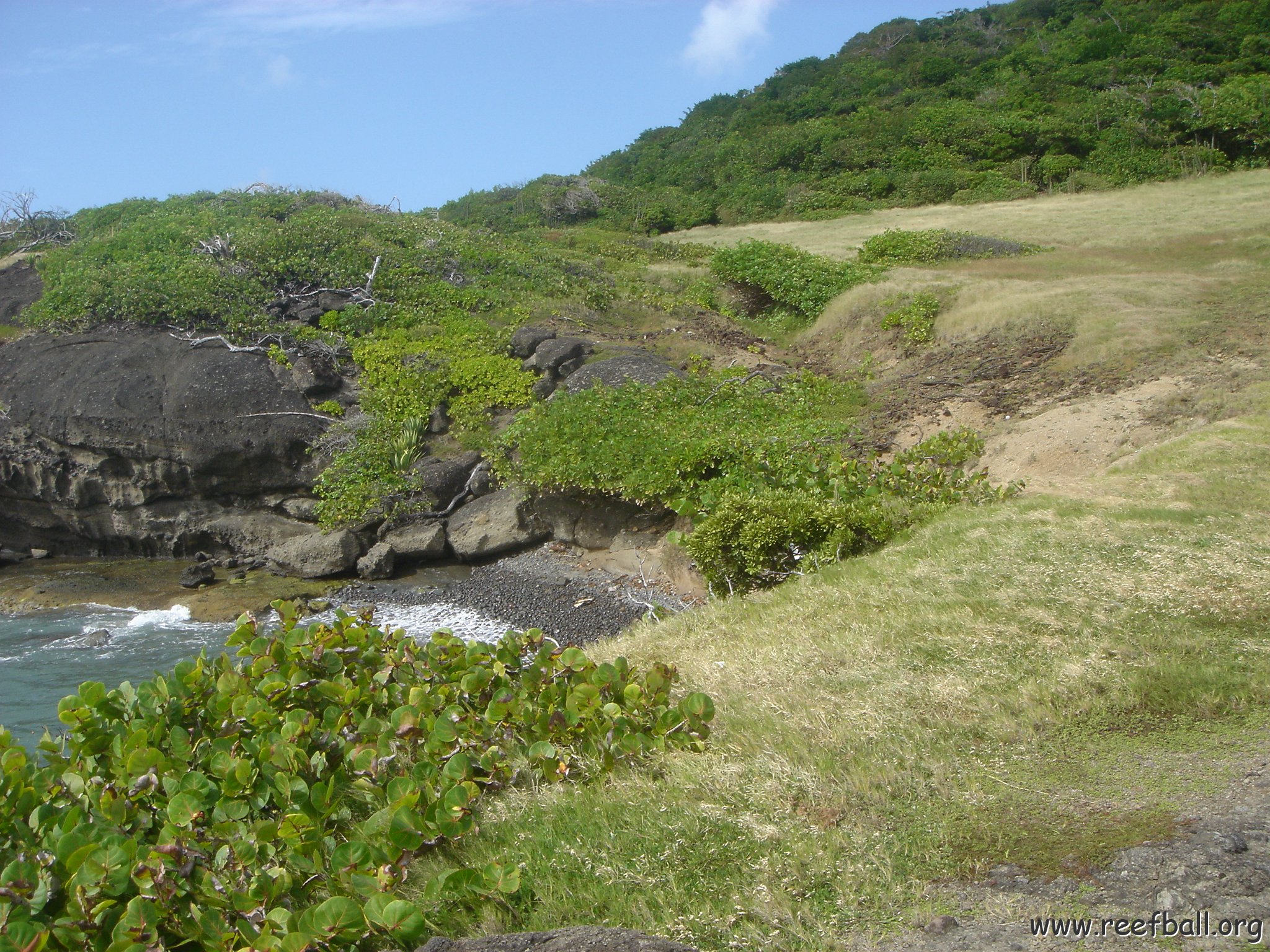 2005dec-stlucia1_050