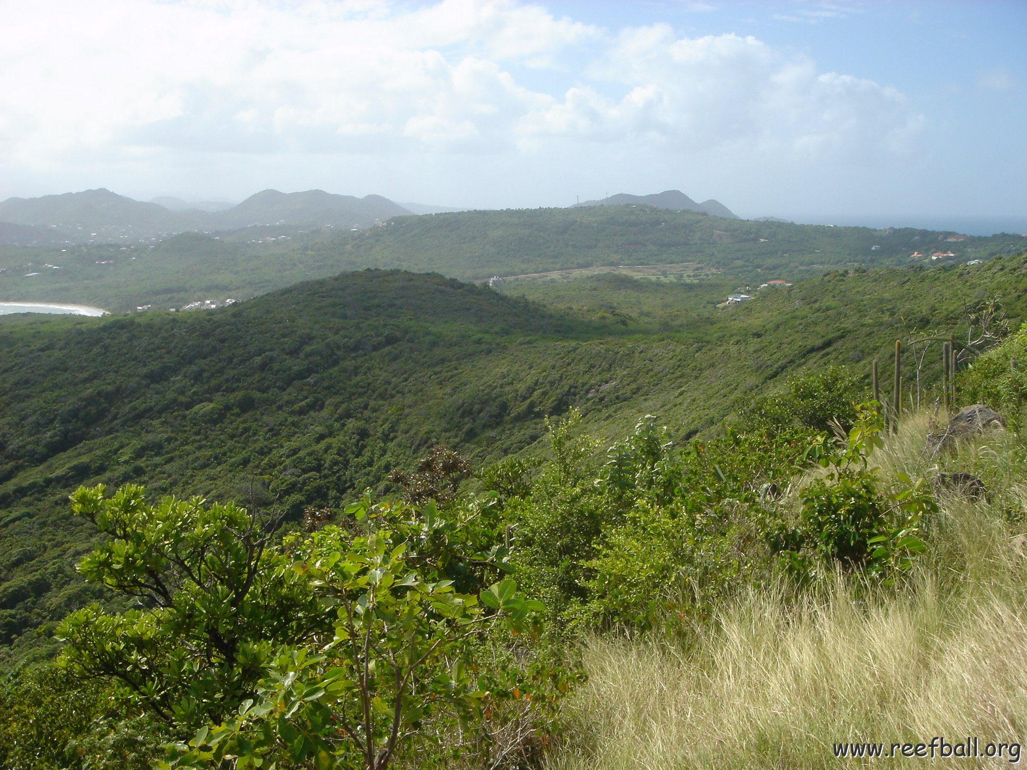 2005dec-stlucia1_015