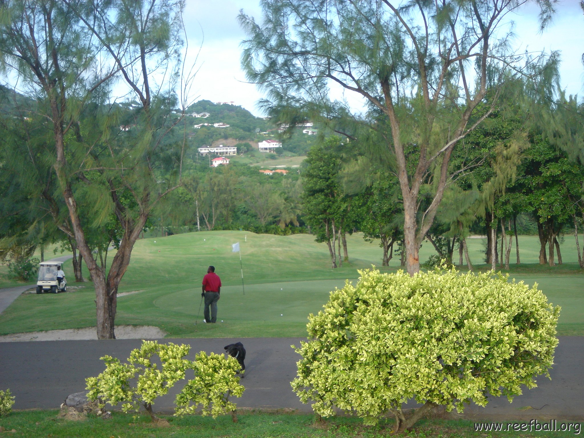 2005dec-stlucia1_084