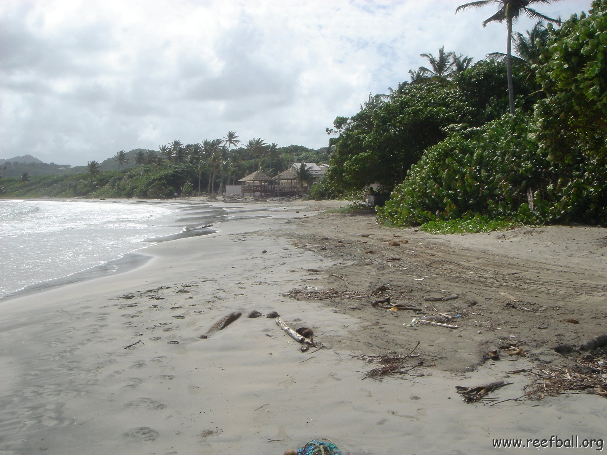 2005dec-stlucia1_018