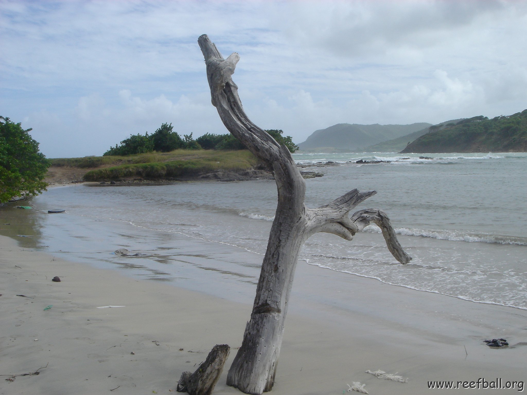 2005dec-stlucia1_026