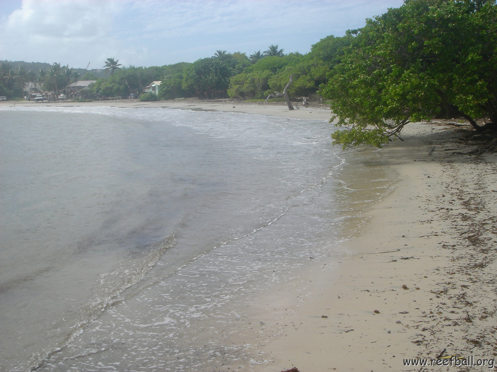 2005dec-stlucia1_063