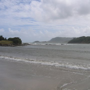 stluciadonkeyandnonamebeach_010