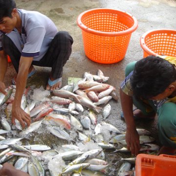 2005oct15_fishingvillage_029