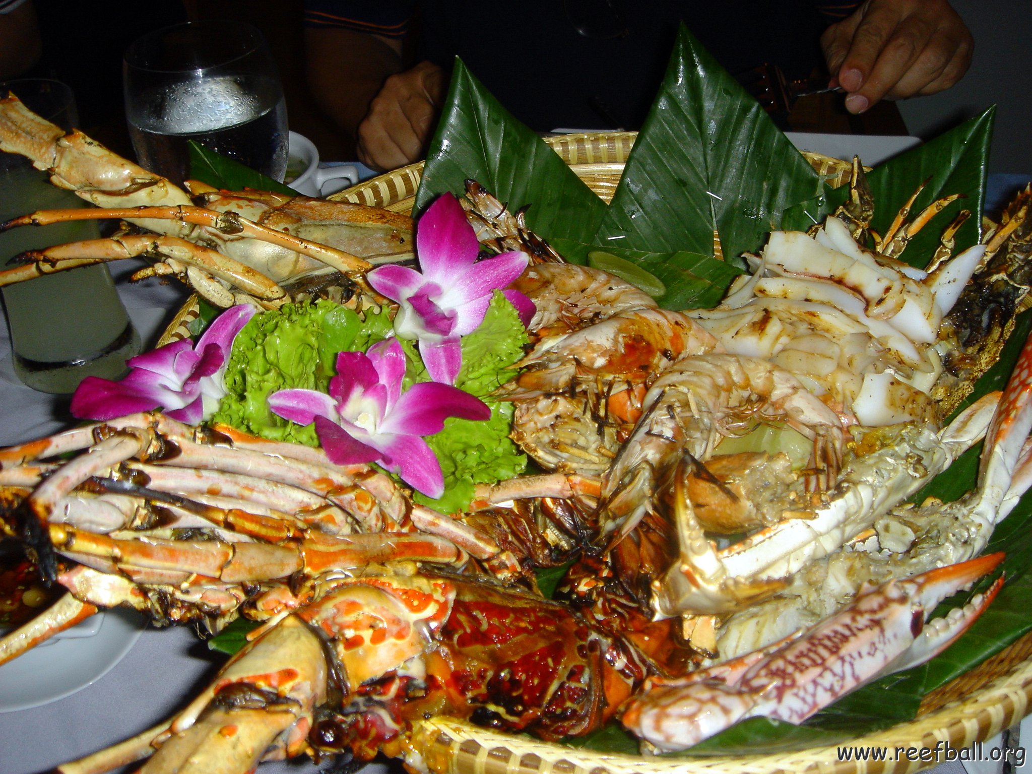 2005oct14_khaolak_069