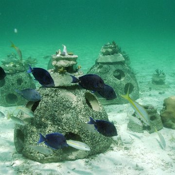 TCI Beaches 181