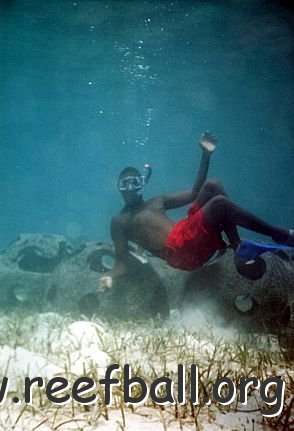 snorkeling