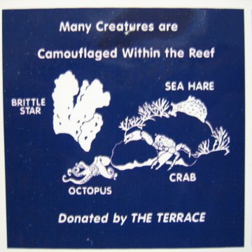 snorkeltrailsigns 017